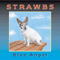 Blue Angel - Strawbs (The Strawbs)