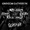 Slasher - Omnium Gatherum