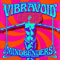 Mindbenders The Radio Sessions - Vibravoid