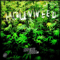 Hollyweed (Single)