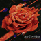 Raindrops On Roses - An-ten-nae (Adam Ohana)