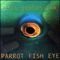 Parrot Fish Eye - Gustafsson, Mats (Mats Gustafsson)
