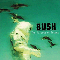 The Science Of Things - Bush (GBR)