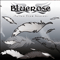 Fallen From Heaven - Bluerose