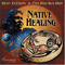 Native Healing - Evenson, Dean (Dean Evenson)