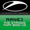 The Strings That Bind Us (Single) - Arnej (Arney Secerkadic, Arne J)