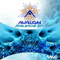Avalanche [EP]