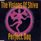 Perfect Day (Maxi-Single)