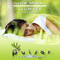 Pulsar Recordings (CD 137: Ihor Mihal - Slumber) - Pulsar Recordings