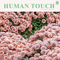 Human Touch - Romano, Daniel (Daniel Tavis Romano)
