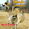 Akella Presents, Vol. 06 - Rock 'n' Roll (CD 2)