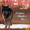 Akella Presents, Vol. 25 - Modern Electric Blues (CD 1)