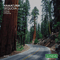 Sequoia, Part 1 (EP)