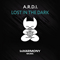Lost In The Dark (Single)