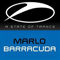 Barracuda - MaRLo (NLD) (Marlo Hoogstraten)