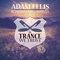 In Trance We Trust 021 (Mixed by Adam Ellis) [CD 1] - Adam Ellis (Ellis, Adam)