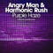 Angry man & Harmonic rush - Purple haze (Single) (feat.) - Harmonic rush (Milad Maleki)