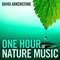 Spa: One Hour of Nature Music - David Arkenstone (Arkenstone, David)