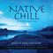 Native Chill: Spirits Calling - David Arkenstone (Arkenstone, David)