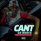 Cant Go Broke (Single)