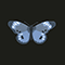 Butterfly (Sinlgle)