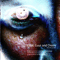 Axolotl Eyes (CD 3: Flies, Guys And Choirs)
