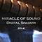 Digital Shadow 2014 (Single)