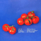 Rotten Tomatoes (EP)