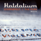 Disrespect / The Flag (Single) - Haldolium (Mario Reinsch)