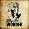 Wicked Witch of Wonder (Single)
