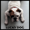 Luky Dog