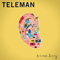 Brilliant Sanity - Teleman (Hiro Amamiya, Jonny Sanders, Peter Cattermoul, Thomas Sanders)