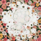 Flowerwall (EP) - Kenshi Yonezu (米津 玄師 Yonezu Kenshi)