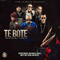 Te Bote (Remix)