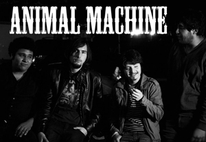 Annimal Machine (MEX)