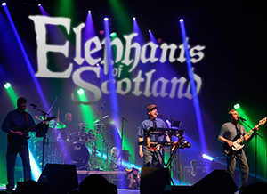 Elephants Of Scotland